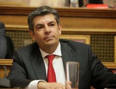 Θ. Παπαθεοδώρου: Υπέρ της διερεύνησης τυχόν αδικημάτων του πρώην ΥΠΑΜ, Γ.Παπαντωνίου